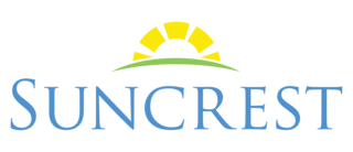 company logo